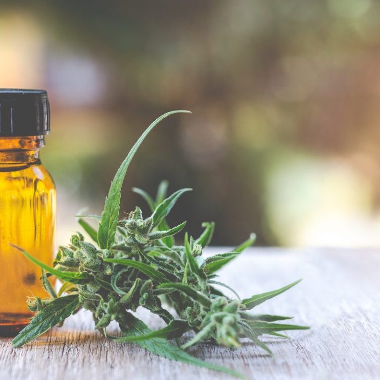 The CBD Oil Miracle: Health Benefits & Uses